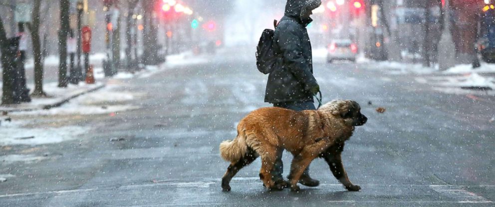 walking-dog-snow-gty-mem-180105_12x5_992