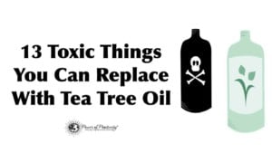 toxic-tea-tree-oil-1-300x169