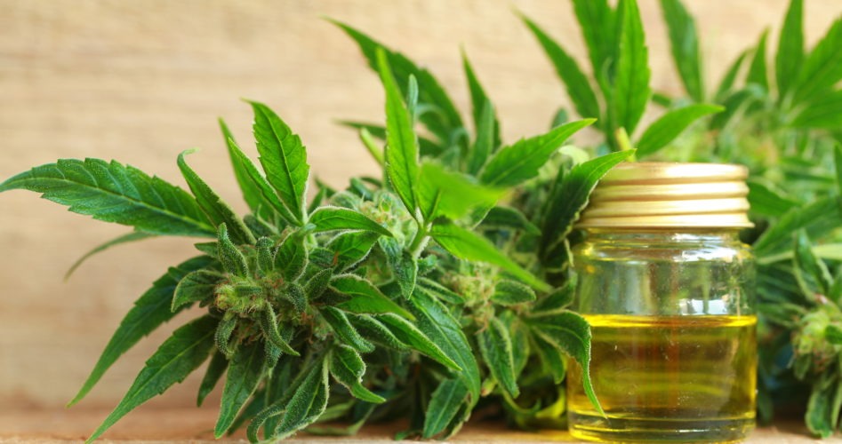 Get the Truth About CBD: 7 Little Known Facts About