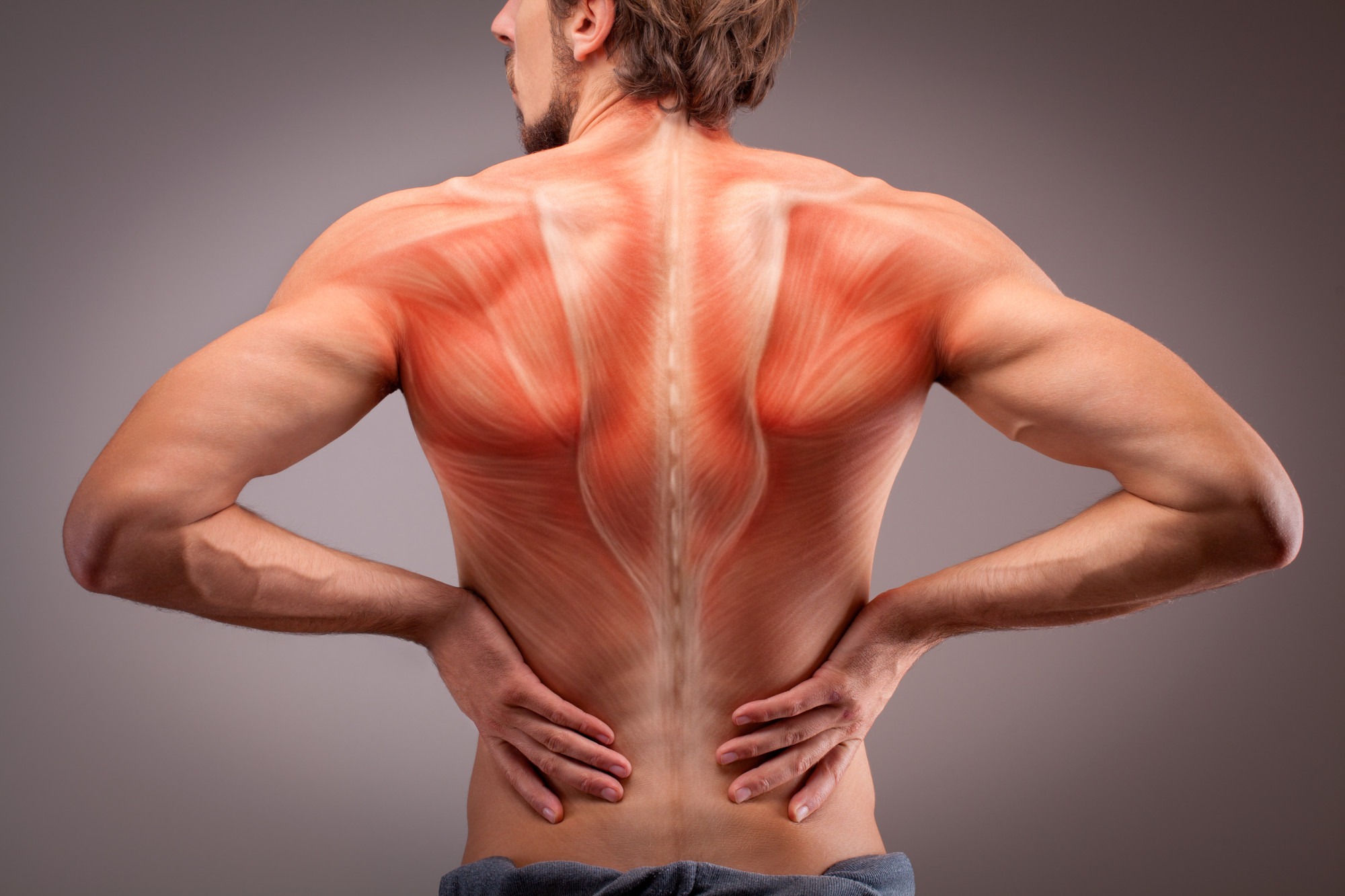 Put Your Back In to It!: How to Strengthen Your