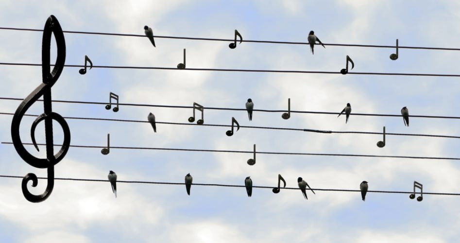 The Power of Music: 7 Benefits of Listening to Songs