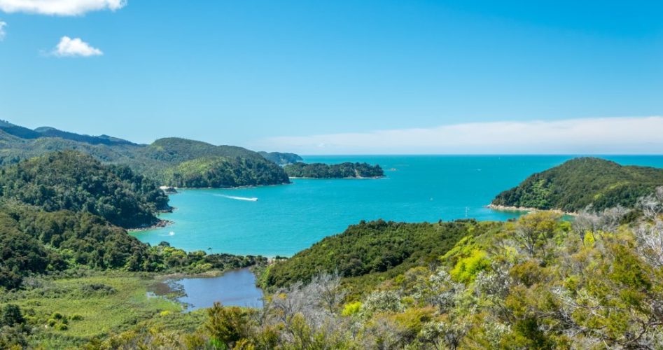 The Top 15 Things to Do in New Zealand