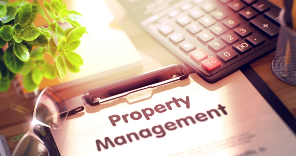 What to Look for in a Property Management Company Before