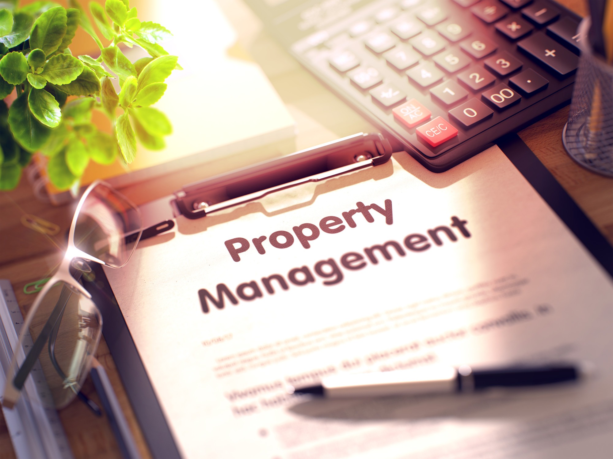 What to Look for in a Property Management Company Before